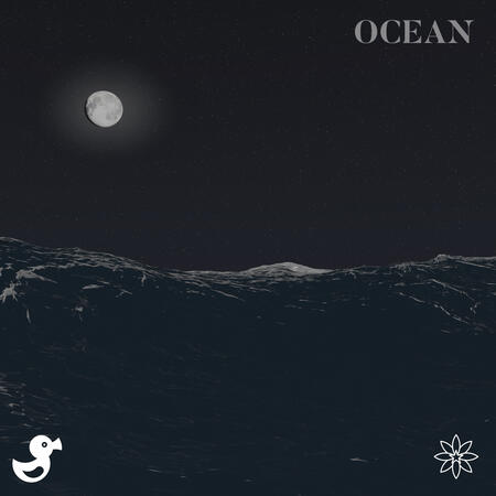 Flori - Ocean